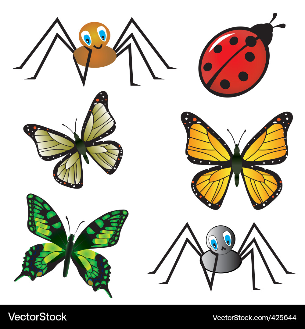 Insect collection Vector Image