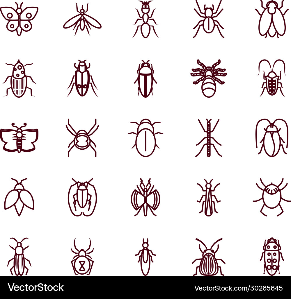 Ant and insect concept icon set line style Vector Image
