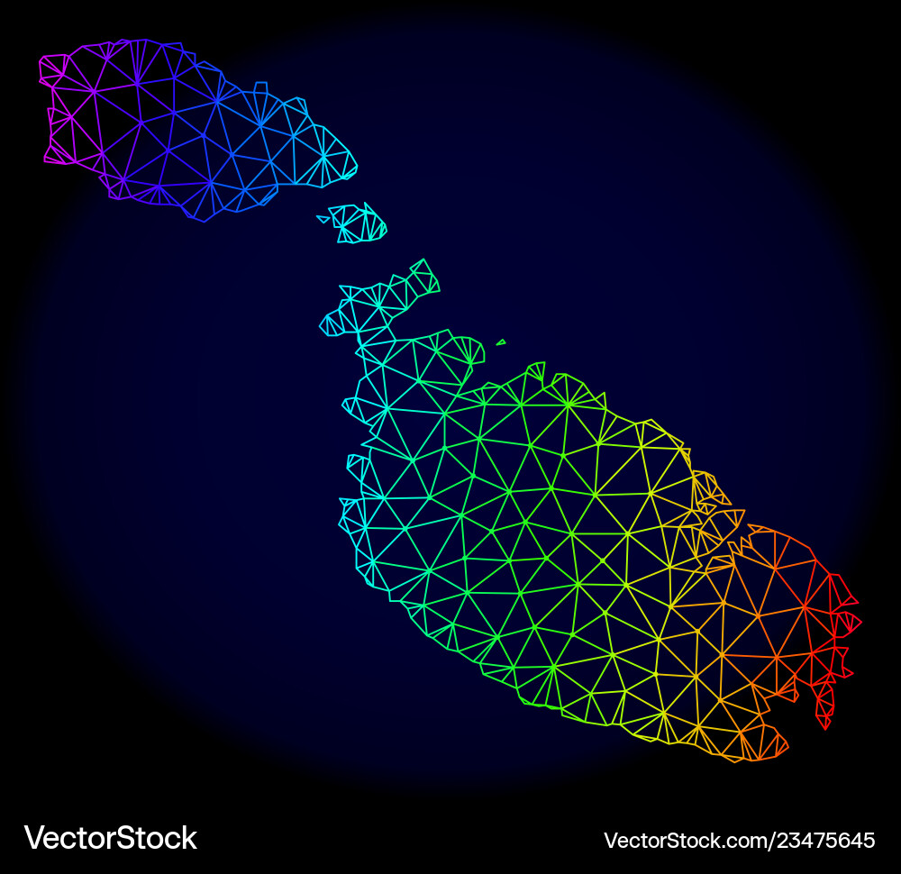Polygonal wire frame spectrum mesh map Vector Image