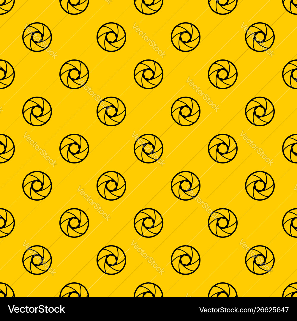 Professional objective pattern Professional objective pattern Vector Image