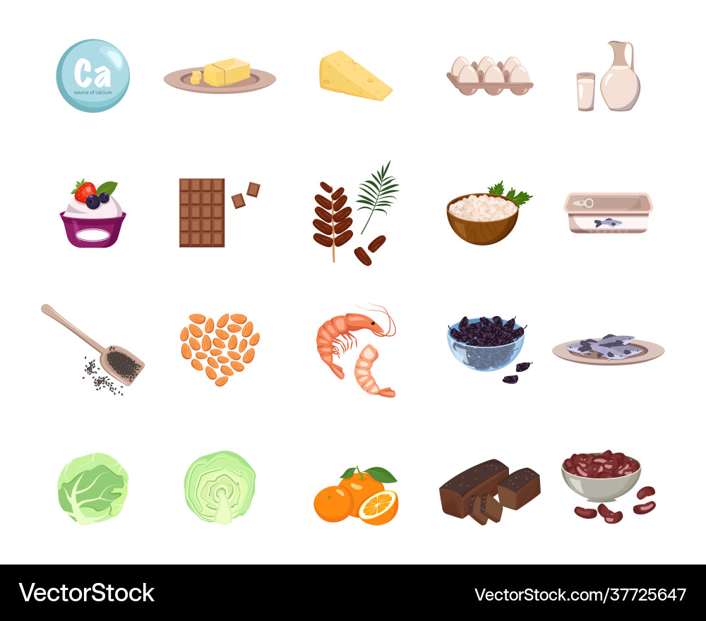Source calcium Vector Image
