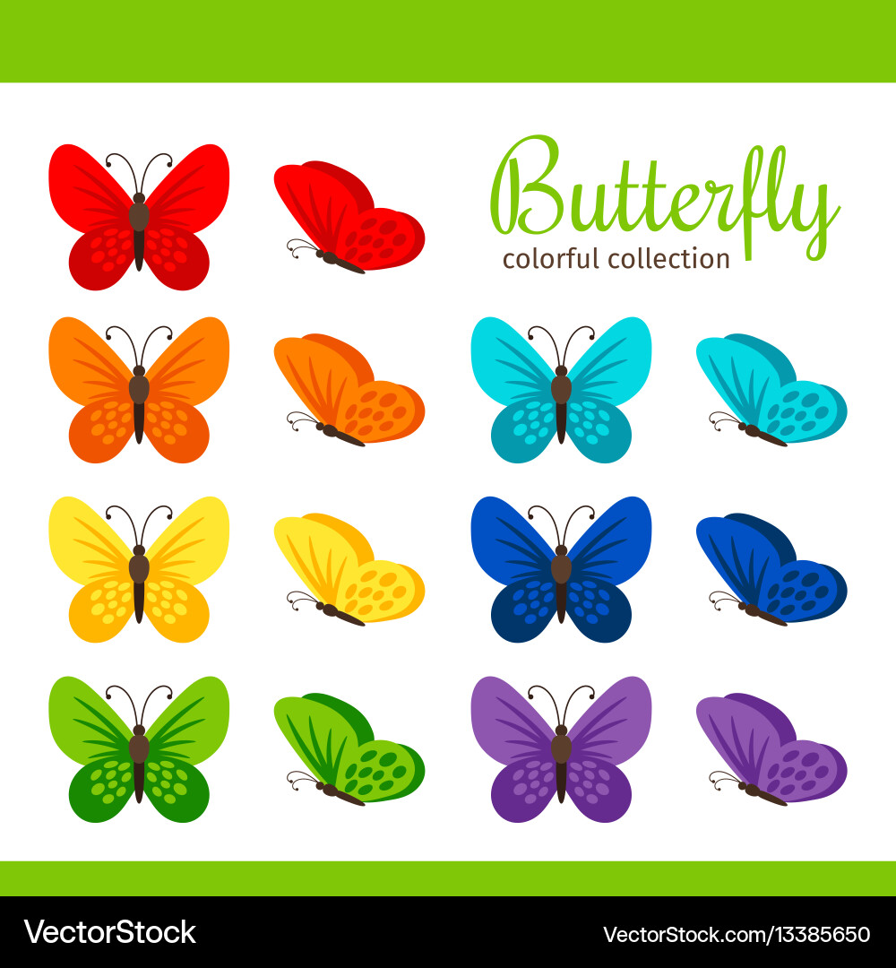Butterfly Collection - Vibrant Wings Vector Image