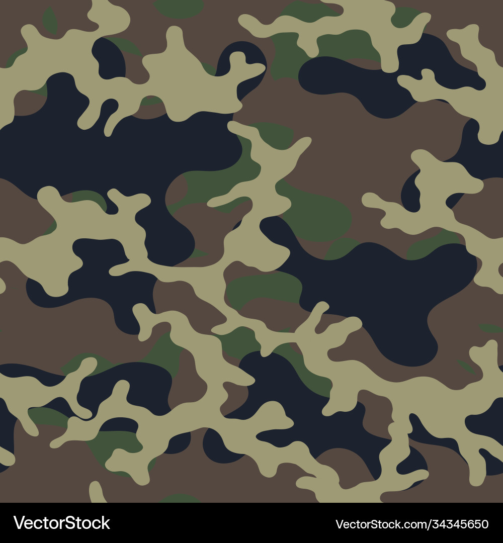 Camouflage pattern military print seamless vector image