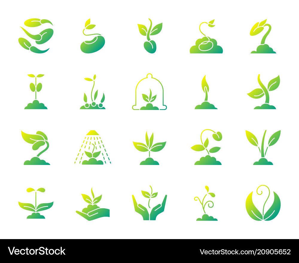 Sprout simple gradient icons set Sprout simple gradient icons set Vector Image