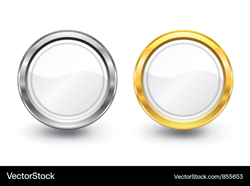 Glossy button Vector Image