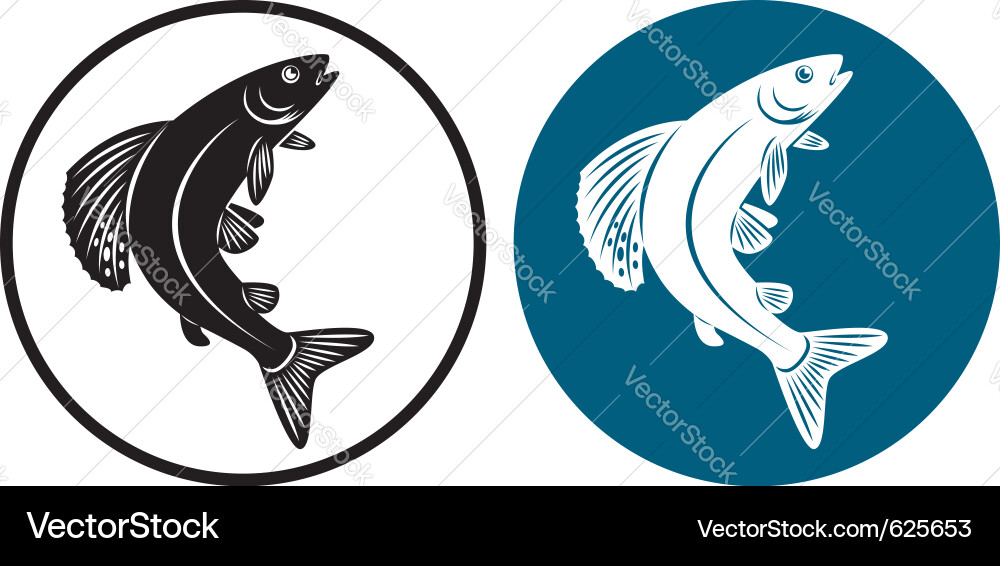 Grayling Fish in a River vector image