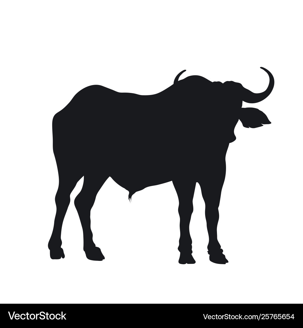 African Buffalo Silhouette Vector Image