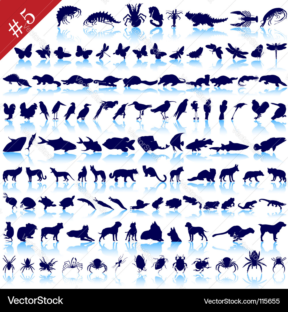 Animal Silhouettes Collection Vector Image