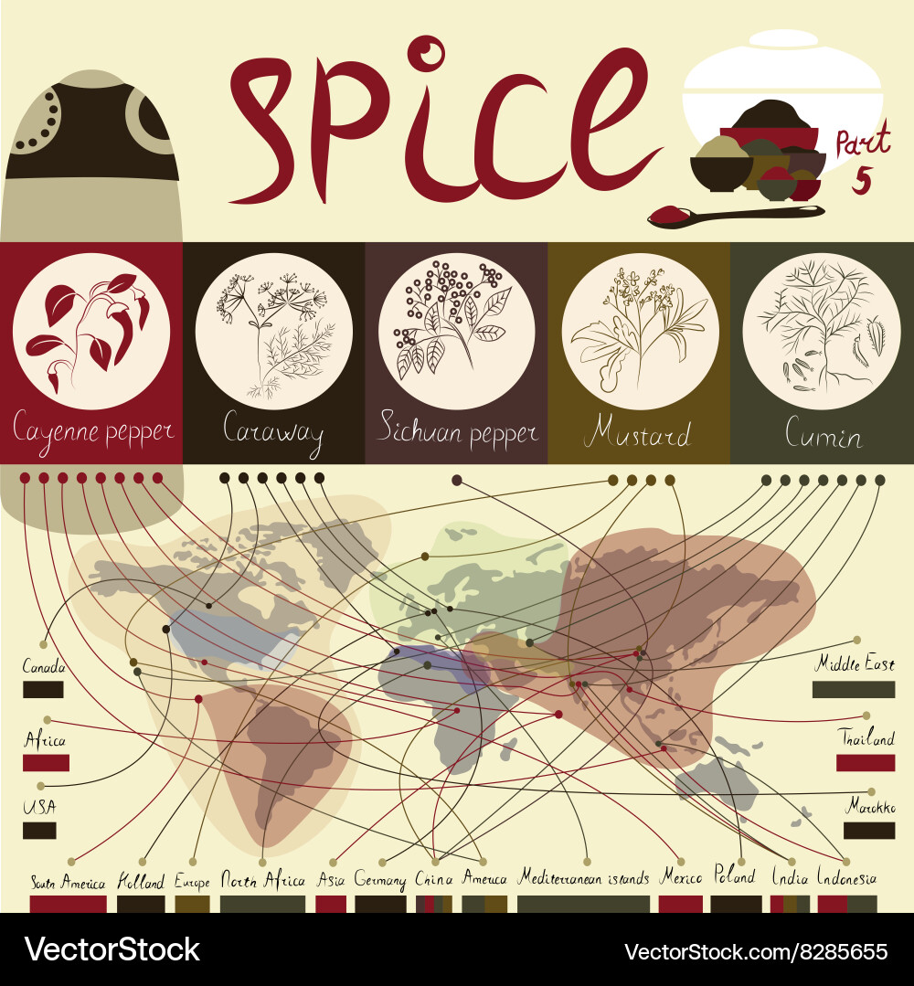 Spice of the world part5 Vector Image