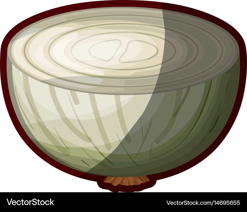White background of middle realistic onion Vector Image