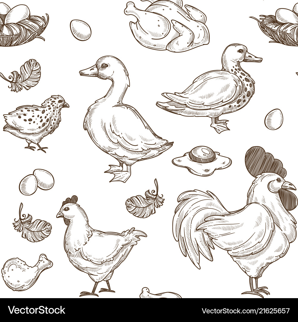 Chicken and ducks sketch pattern background Chicken and ducks sketch pattern background vector image
