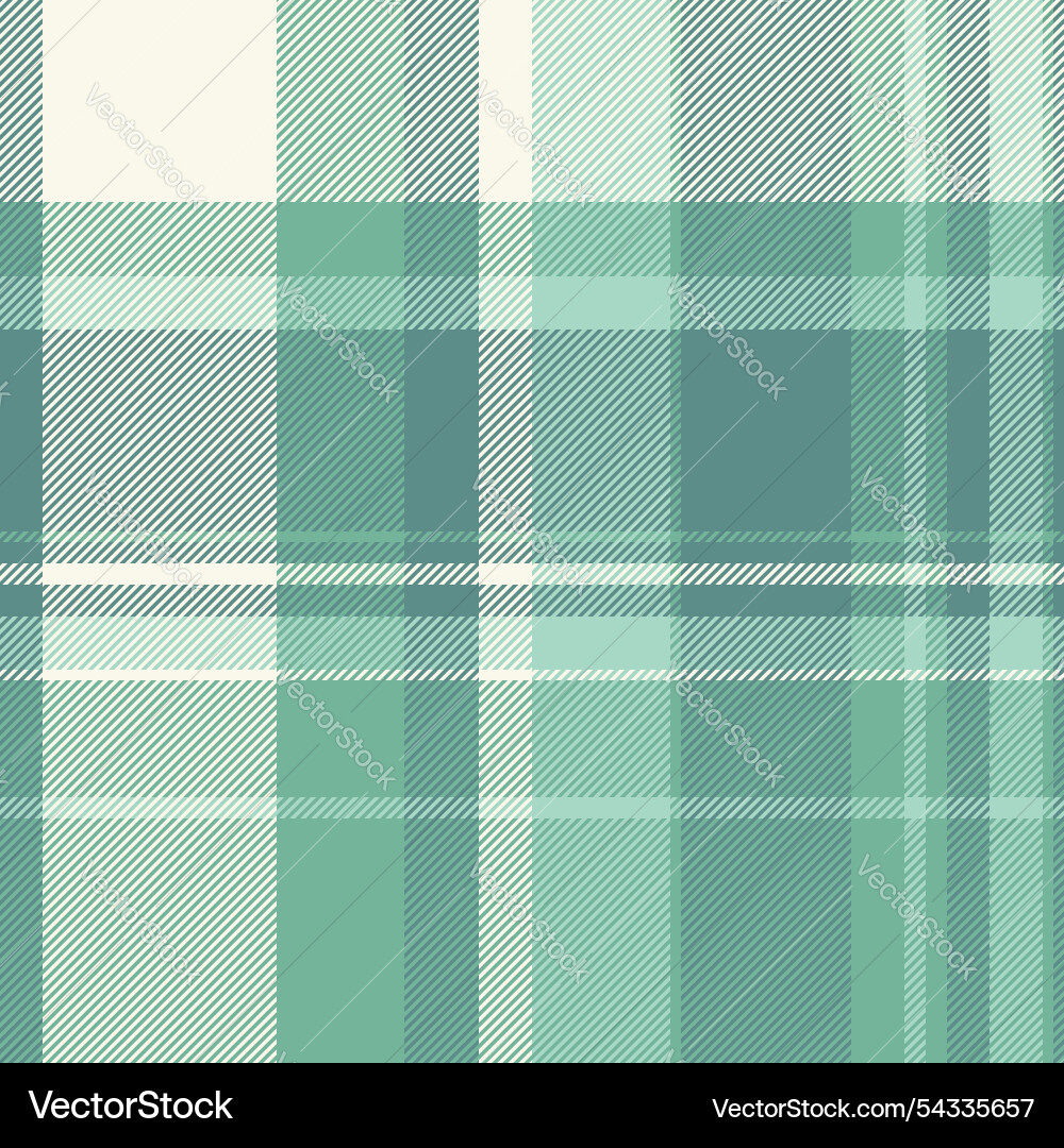Diagonal pattern plaid argyle texture check Diagonal pattern plaid argyle texture check Vector Image