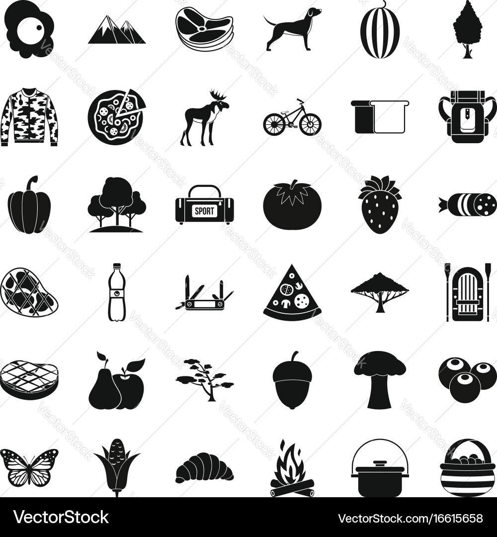 Camping icons set simple style vector image