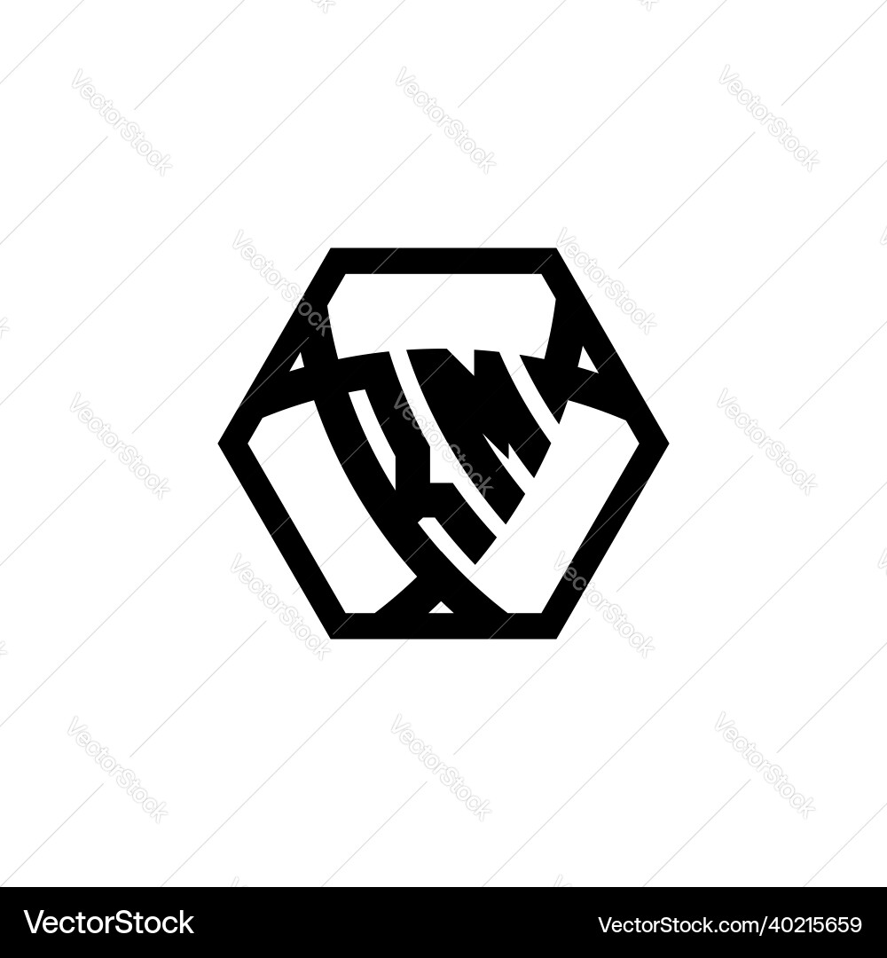 Rm logo monogram triangle shield hexagonal style Rm logo monogram triangle shield hexagonal style Vector Image