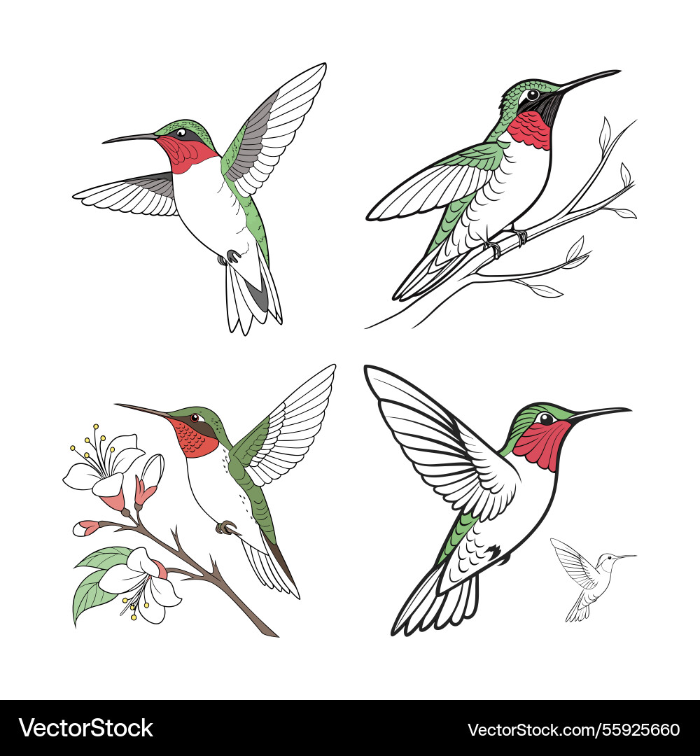 Ai-generated set of bird design Vector Image
