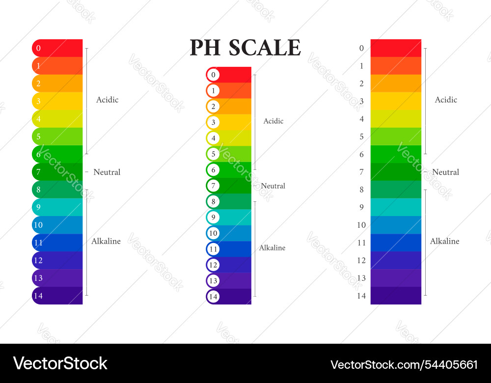 Ph scale chart indicator diagram value Vector Image