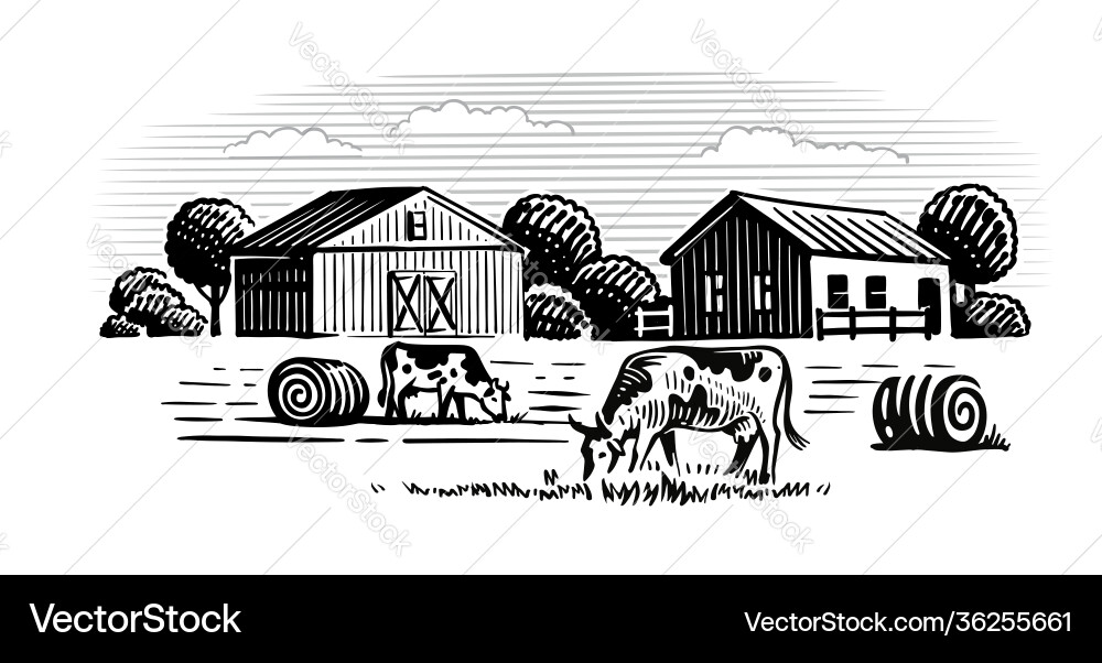 Two cows on background farm Royalty Free Vector Image
