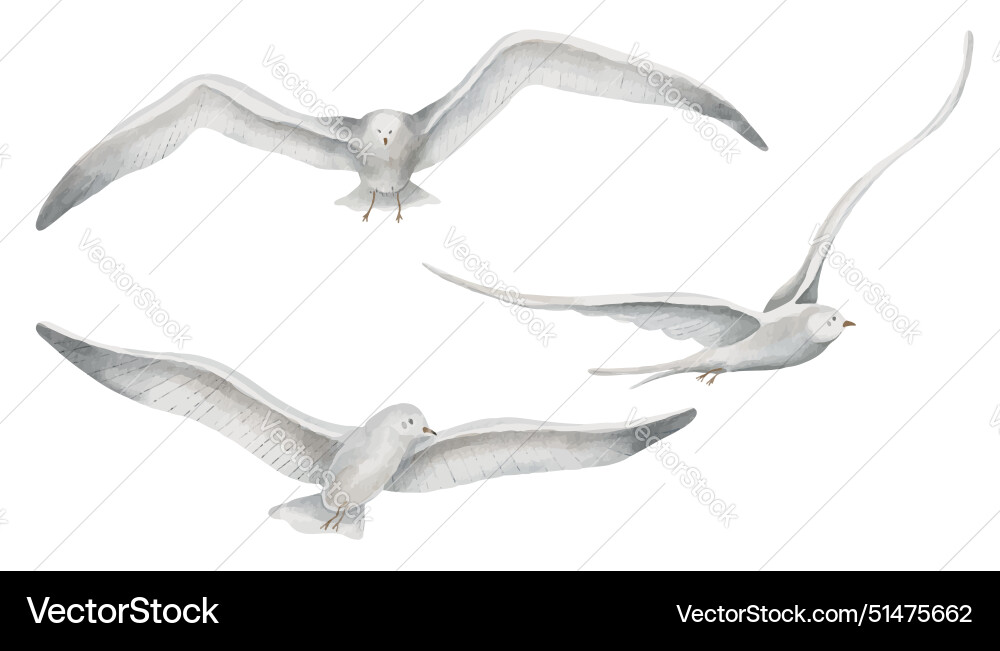 Aquarell der Möwen im Flug Aquarell der Möwen im Flug vektorbild
