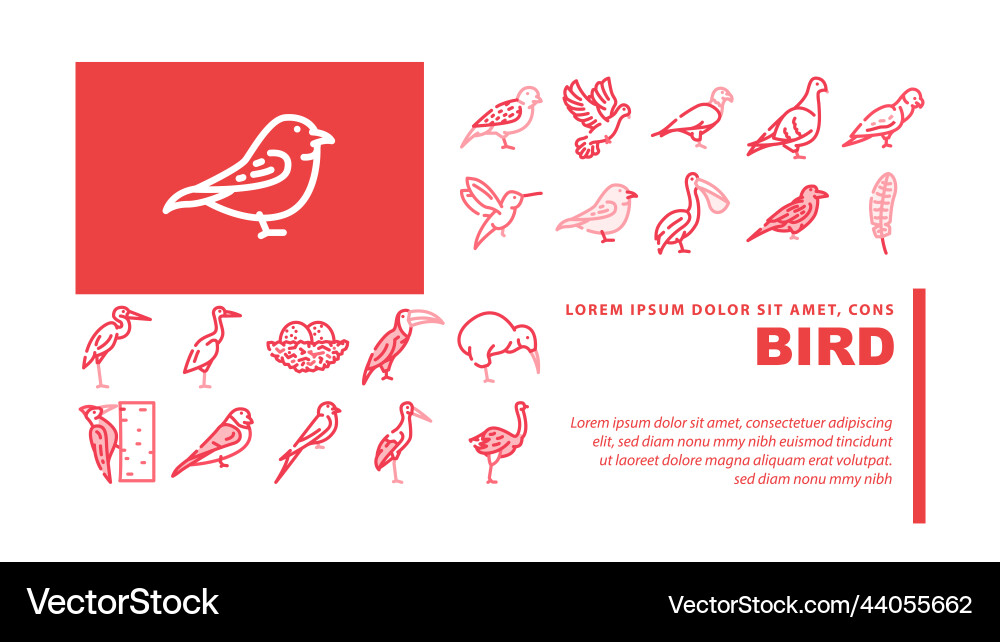 Birds and Eggs Landing Header vector image
