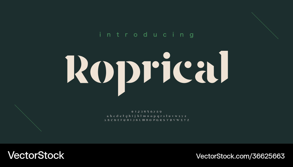 Elegant Alphabet & Number Font Set Vector Image