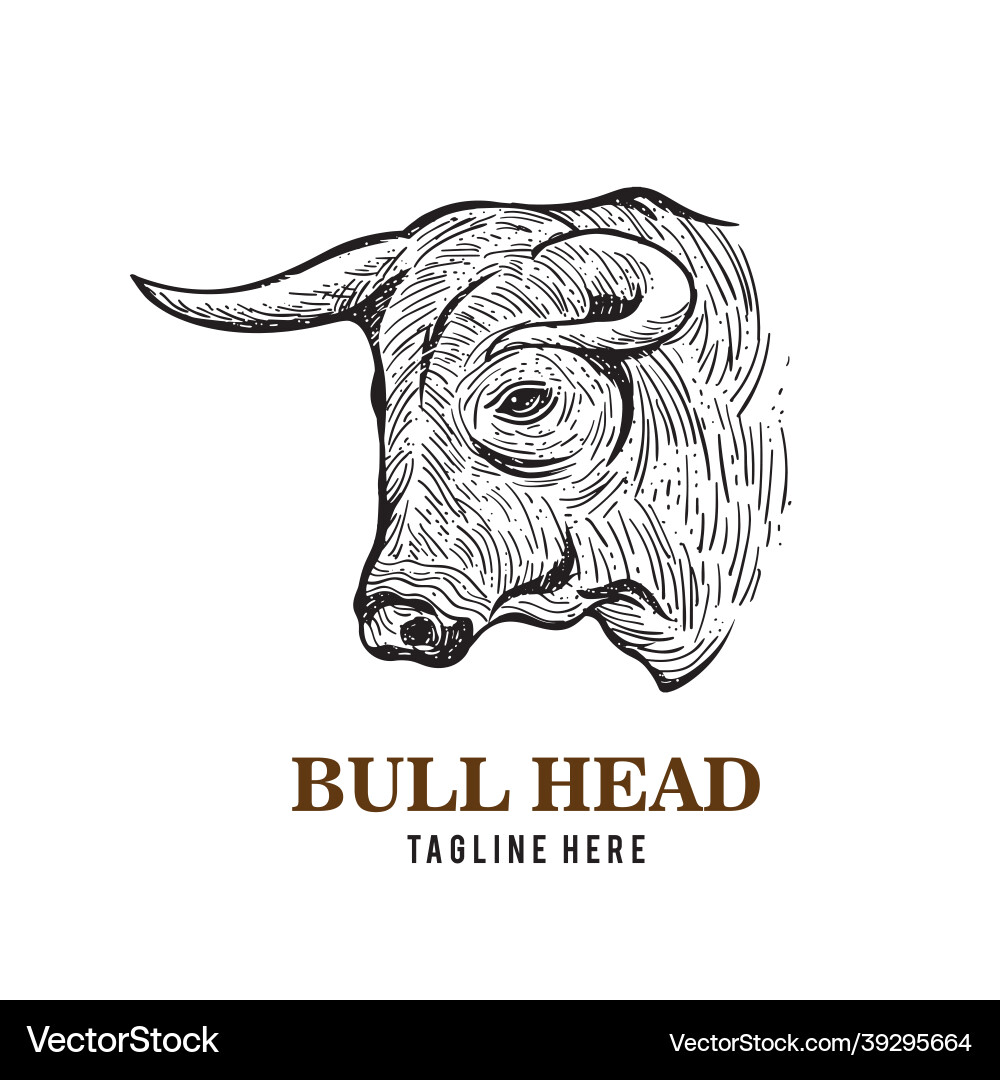 Bull head logo design Bull head logo design Vector Image