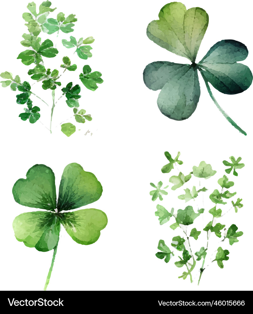 Clover leaves set - quarterfoil and trefoil Clover leaves set - quarterfoil and trefoil vector image