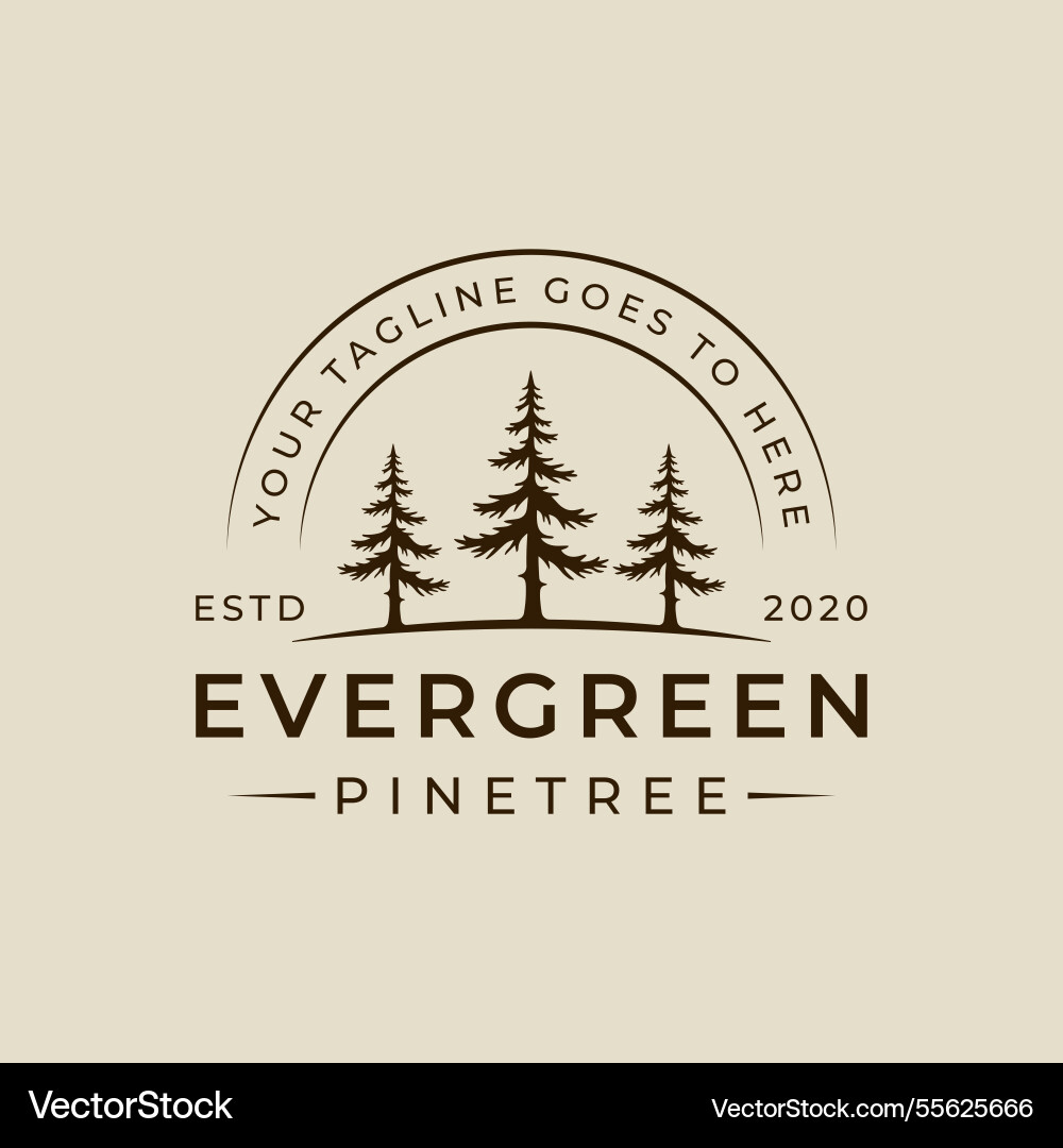 Pines tree logo vintage template icon graphic Pines tree logo vintage template icon graphic vector image