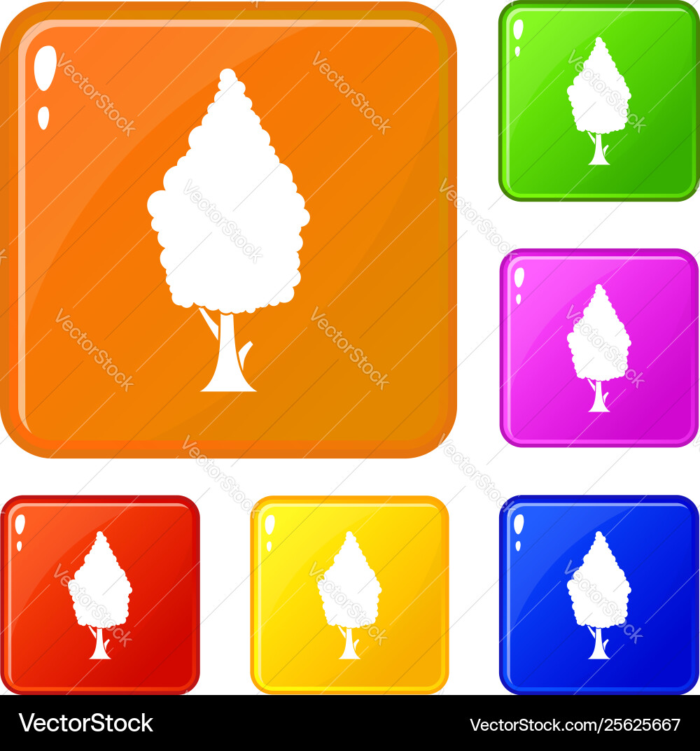 Cypress icons set color Cypress icons set color vector image