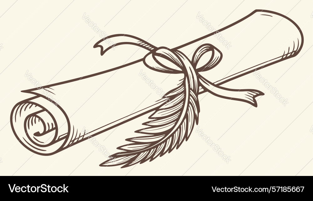 Rustic rolled scroll with feather quill old vector image