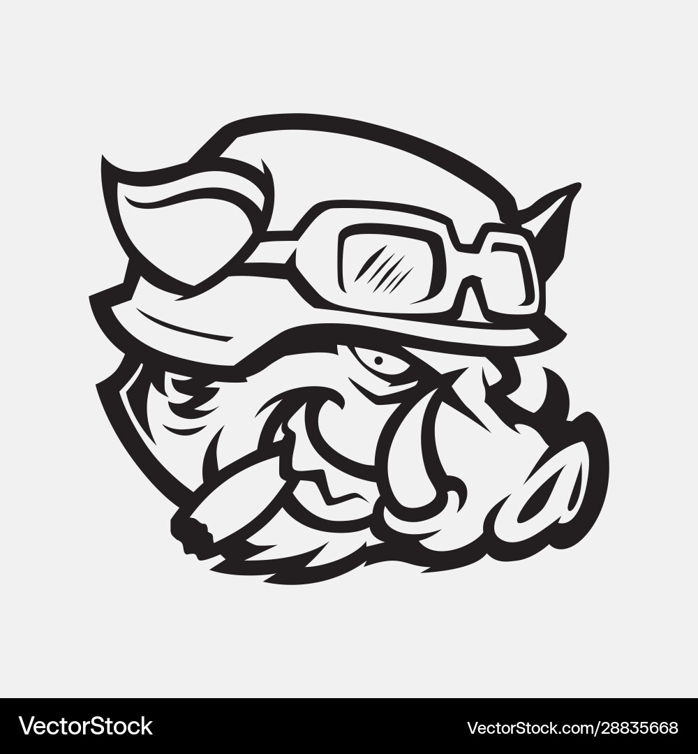 Aggressive Wild Boar Head vector image