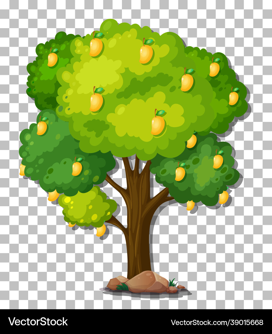 Mango tree on transparent background Mango tree on transparent background vector image