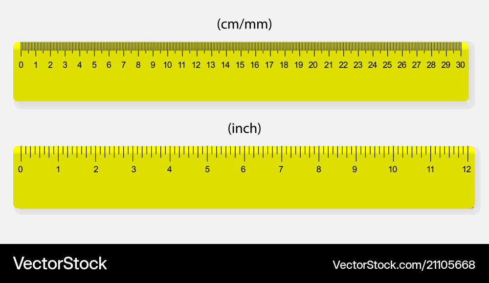 Yellow Rulers - Centimeters & Inches Vector Image