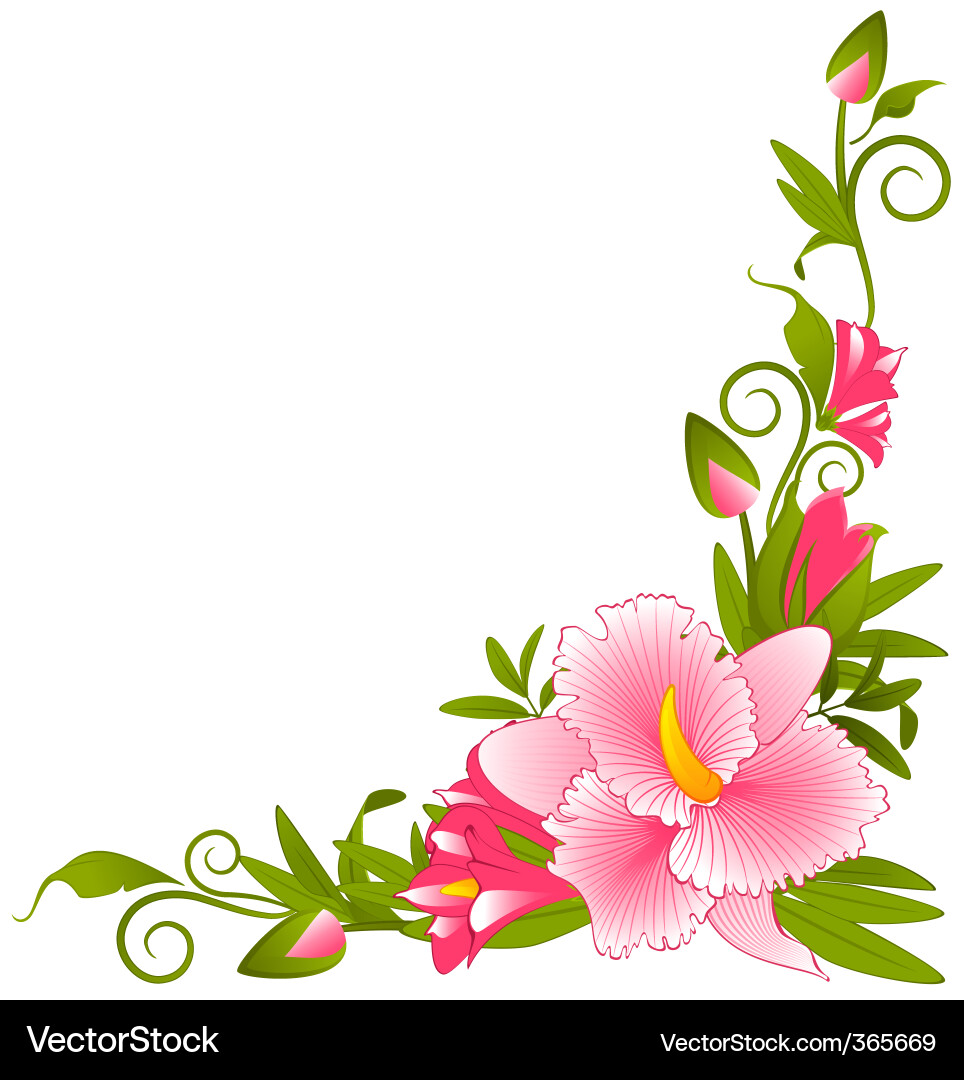 Floral Border Design Vector Image