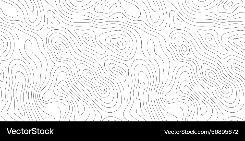 Topographic seamless map pattern with contour Topographic seamless map pattern with contour vector image