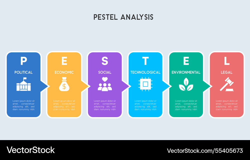 A structured block design infographic vector image