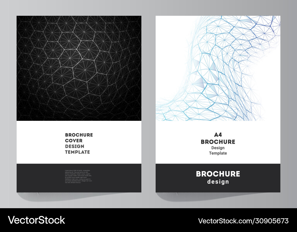 Layout a4 format cover mockups design Vector Image
