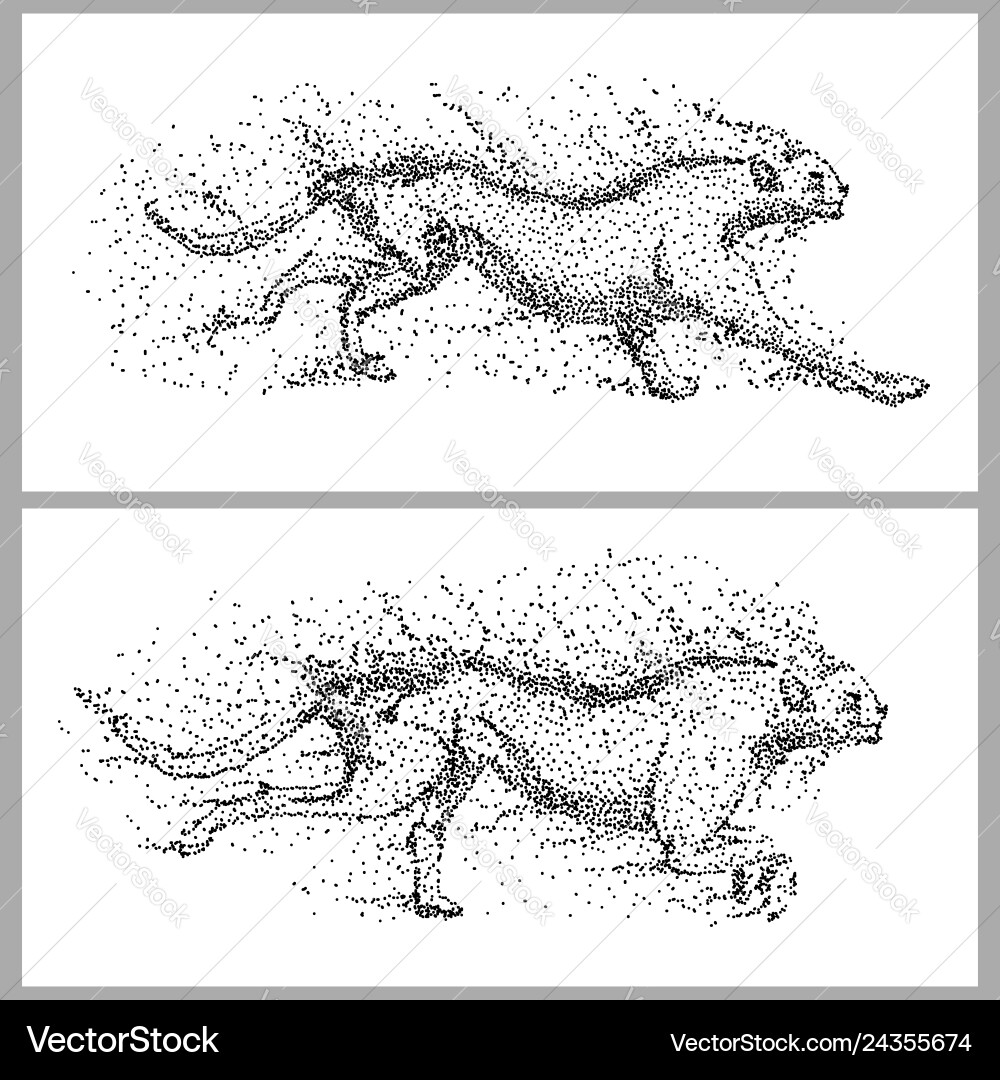 Cheetah Particle Run vector image
