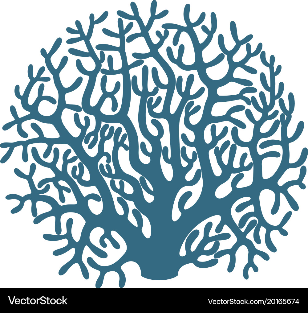Coral Royalty Free Vector Image - VectorStock
