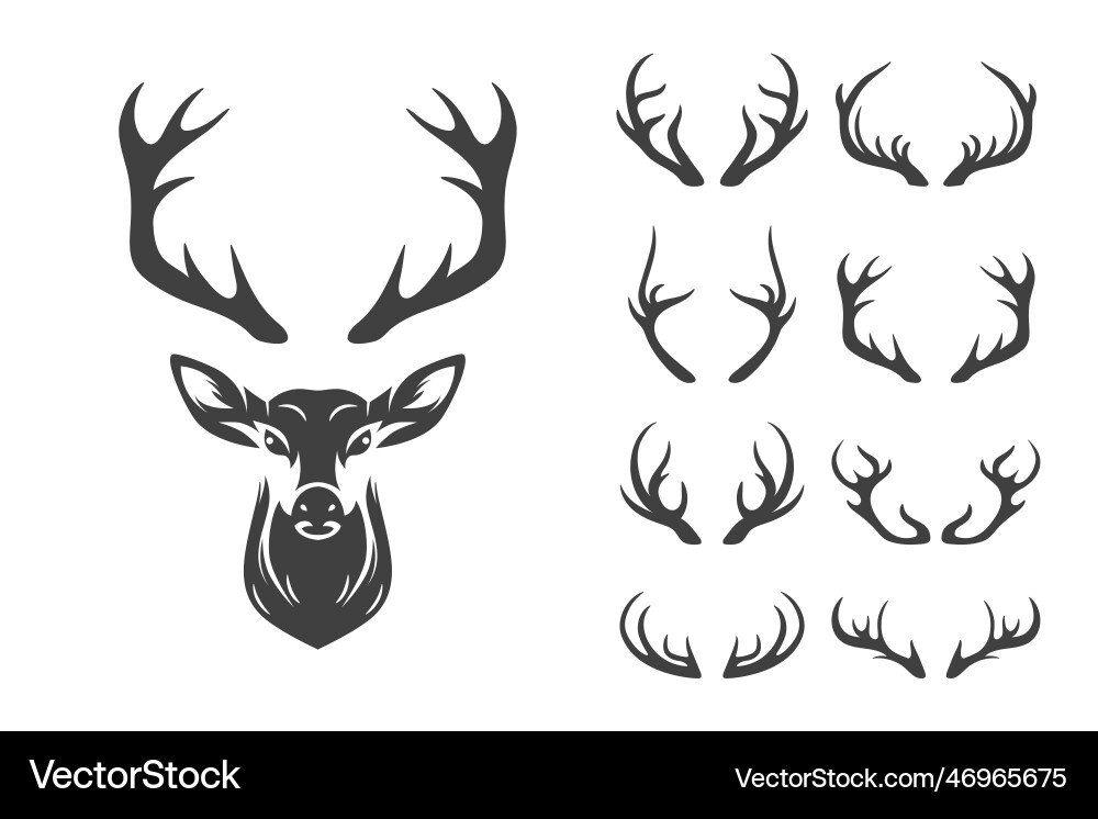 Reindeer horns antlers deer horn vector image