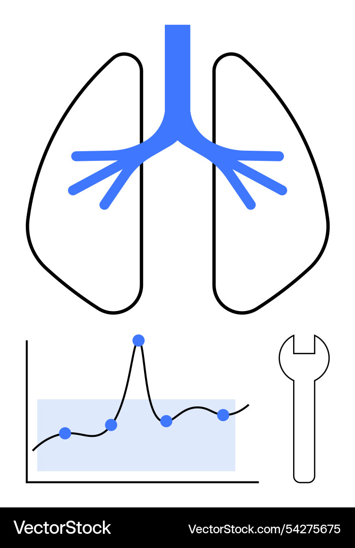 Understanding lung health through data analysis Vector Image