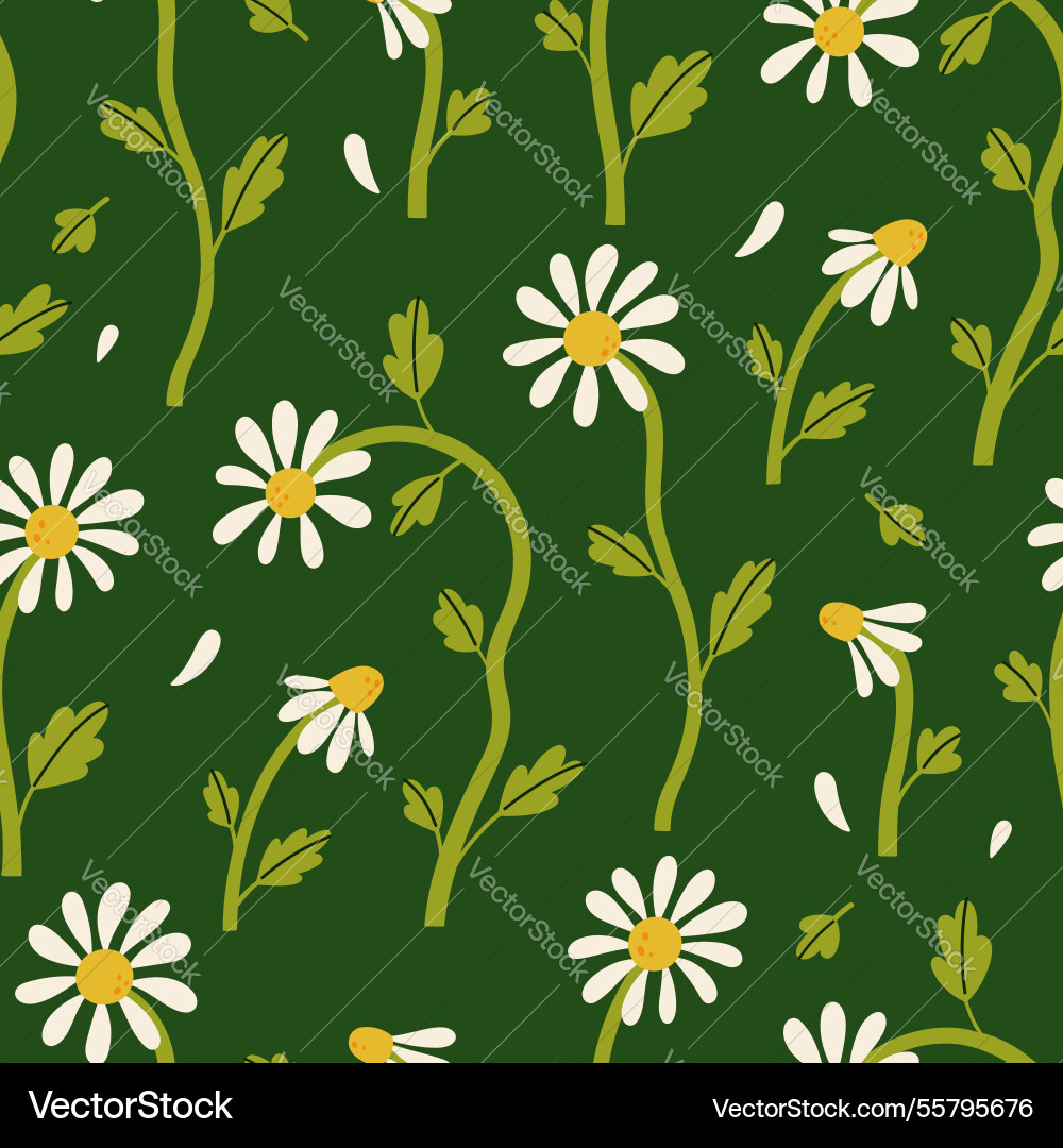 Simple seamless pattern with daisies on a dark Vector Image