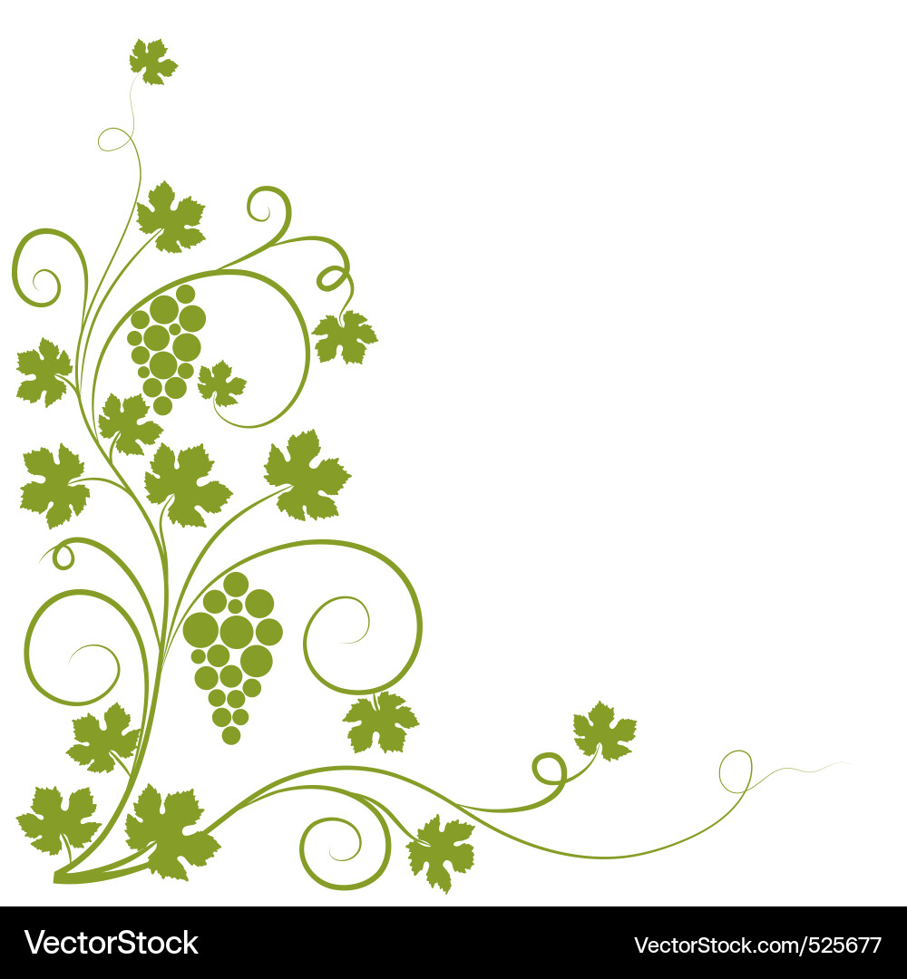 Elegant Grape Swirl Background vector image