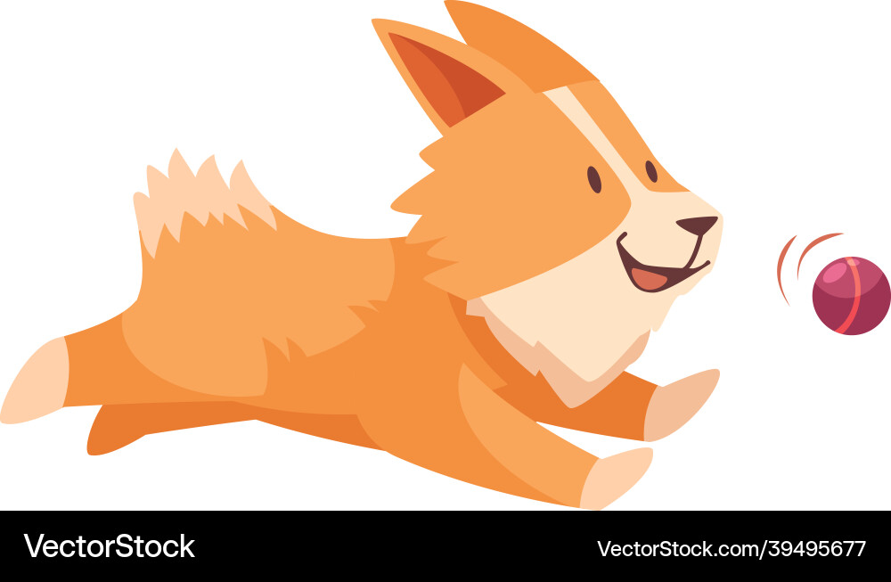 Playing dog Playing dog vector image