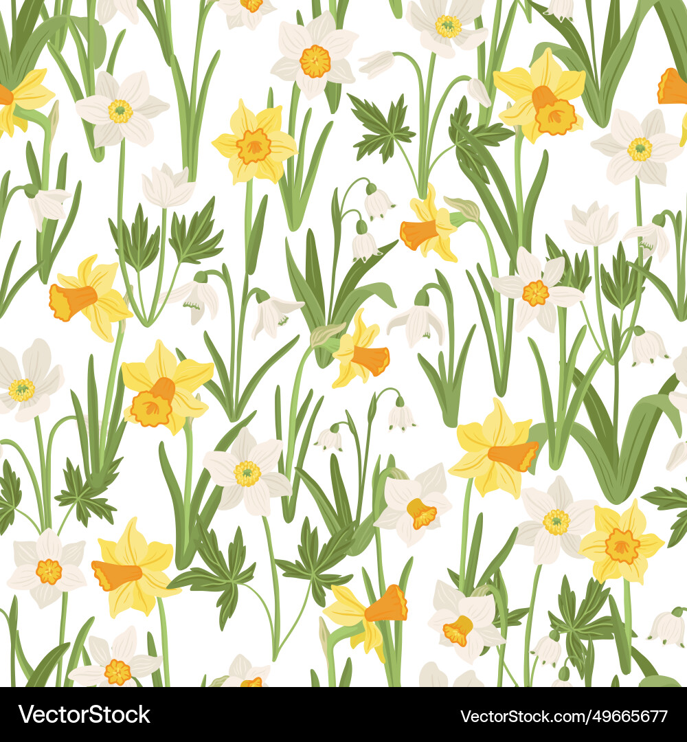 Seamless pattern with flowers daffodils Vector Image