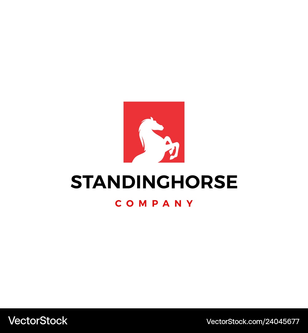 Standing horse logo icon square vector image