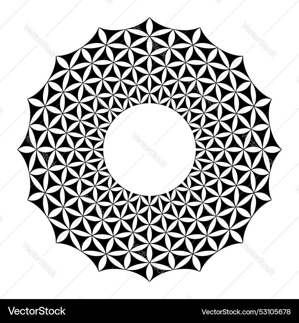 Radial circle pattern vector image