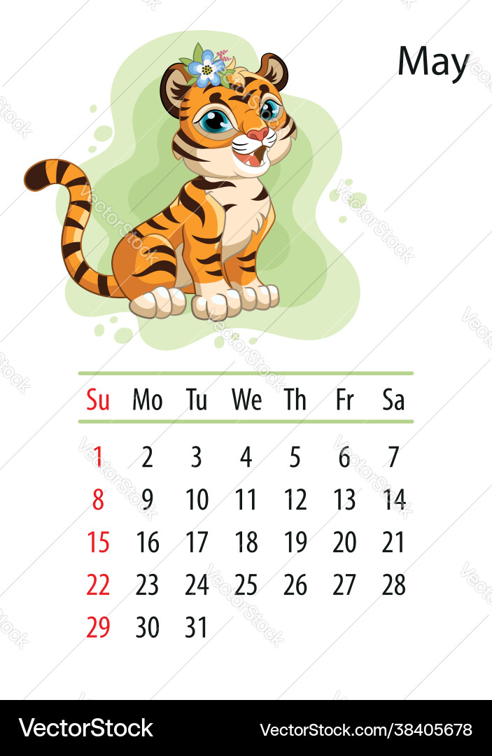 Tiger wall calendar design template for may 2022 Tiger wall calendar design template for may 2022 vector image