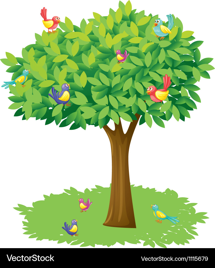 Birds in a Tree Royalty Free Vector Image - VectorStock