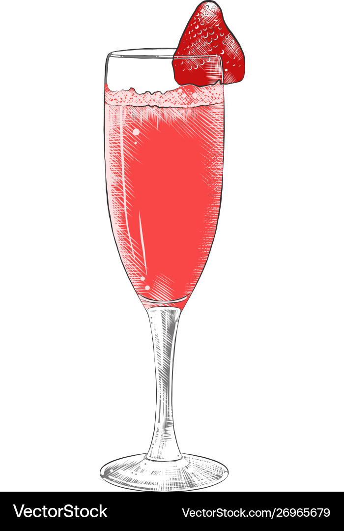 Champagne & Strawberry Sketch Vector Image