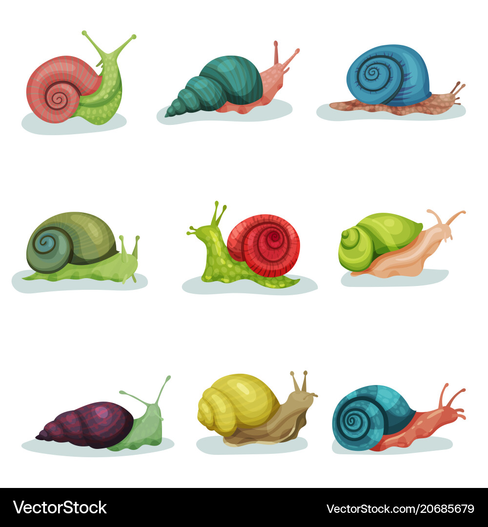 Collection of snails different shell colours Vector Image